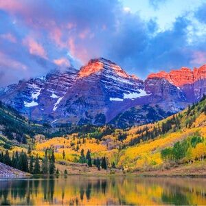 Meet your Posher, Ronnie